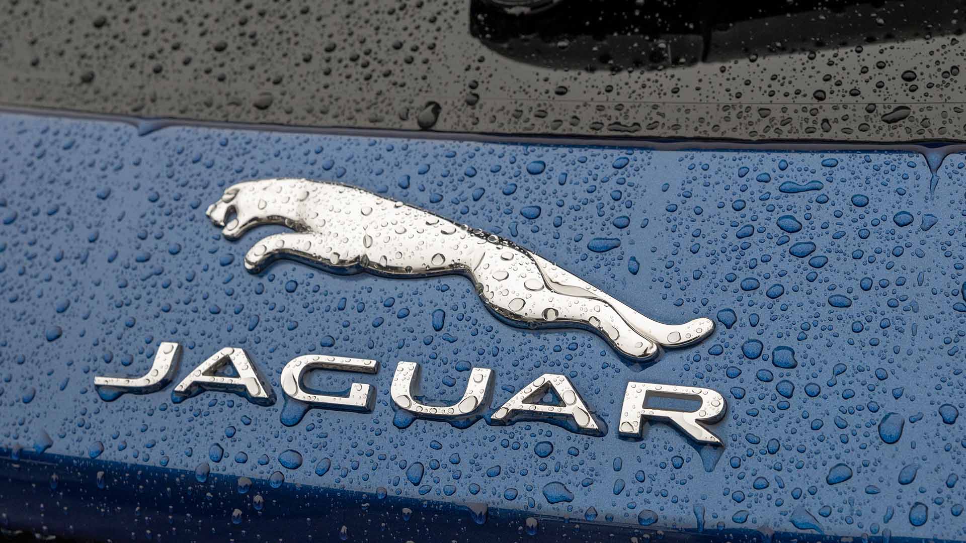 Jaguar Bade On Bonnet